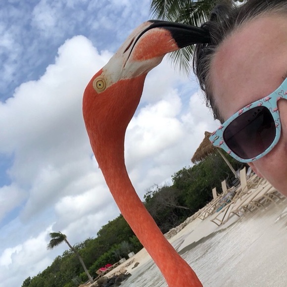 Welcome to my closet! - Picture 1 of 1